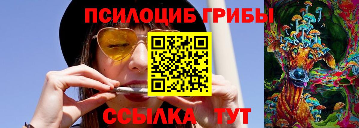 Галлюциногенные грибы GOLDEN TEACHER  Вход с VPN  Петрозаводск  что такое   Псилоцибиновые грибы ЛСД 